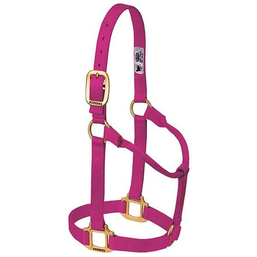 Original Non-Adjustable Halter 1" - hot pink