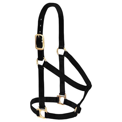 Basic Non-Adjustable Halter - Large Black