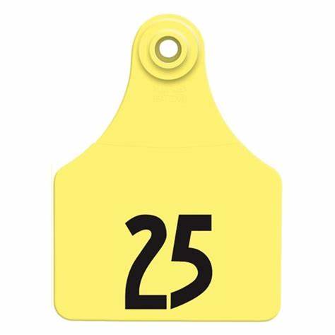 LG. Female/SM Male Yellow 1-25