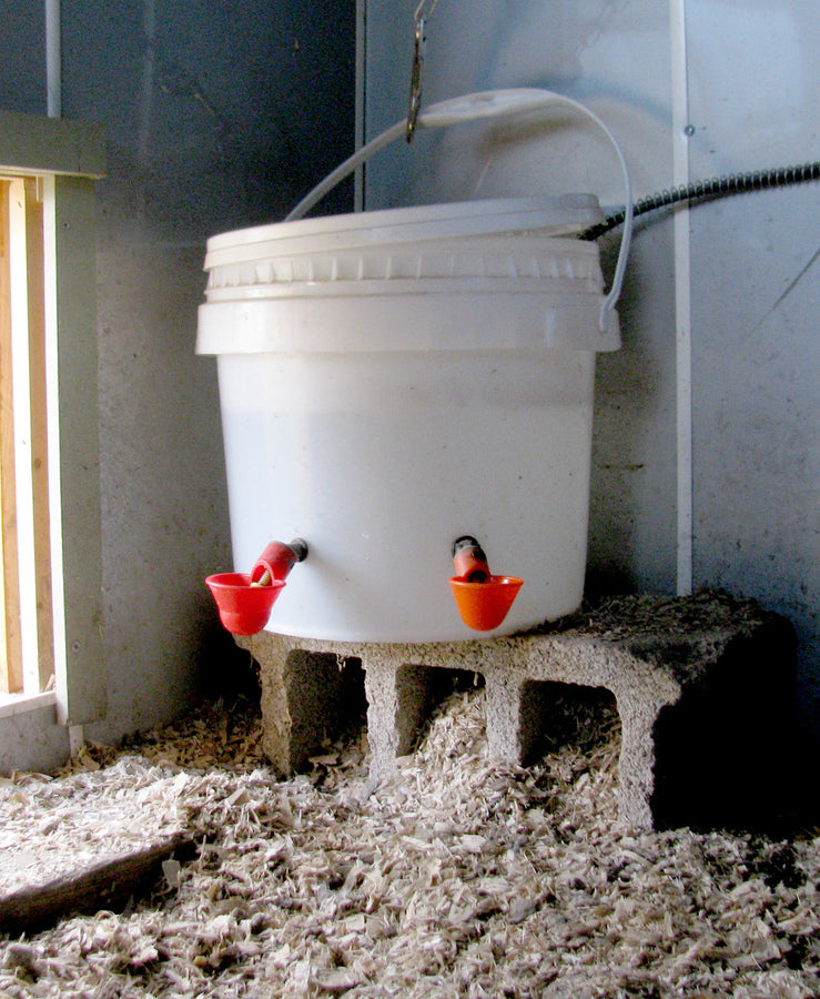 Poultry Drinking Cup 2-pk
