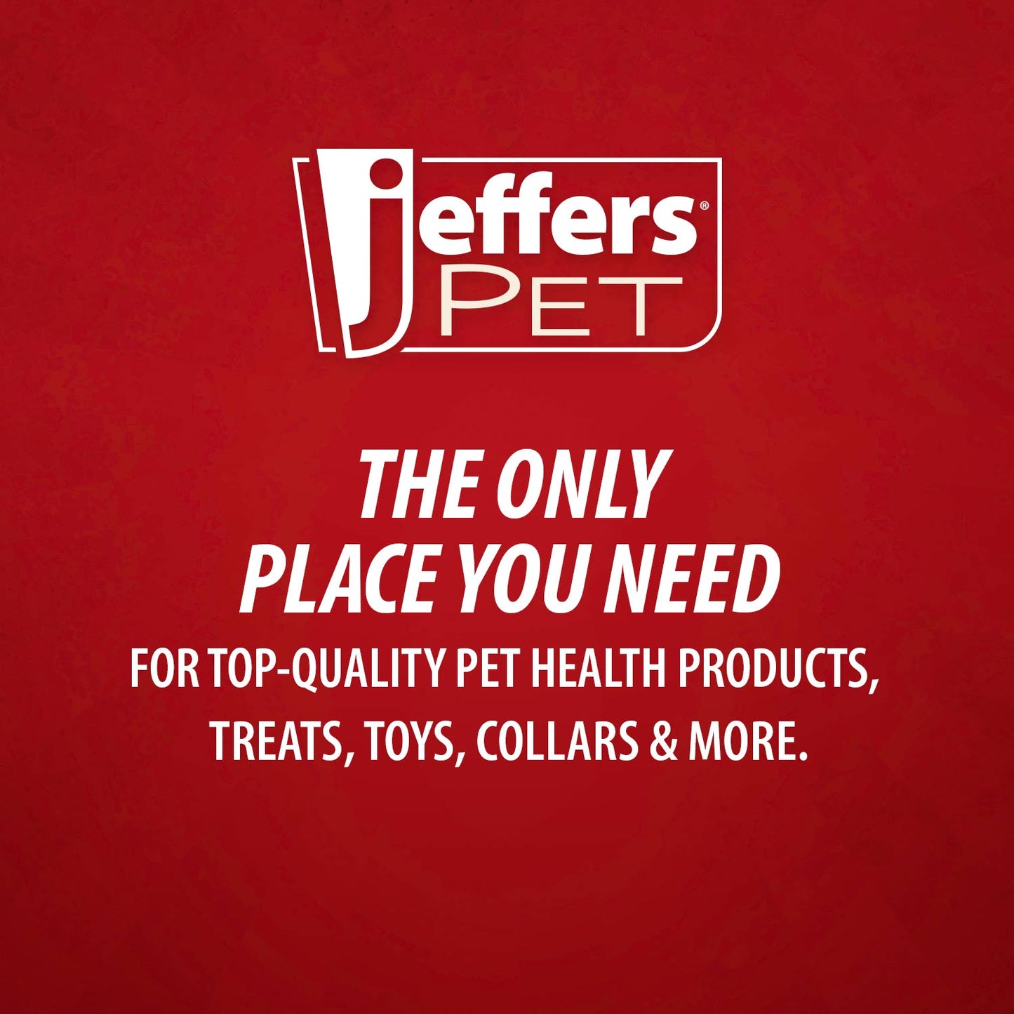 Jeffers Rolled Leather Dog Collar with Brass Hardware