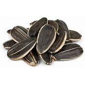 SUNFLOWER SEED GREY STRIPES - SEMILLA GIRASOL 25 LBS