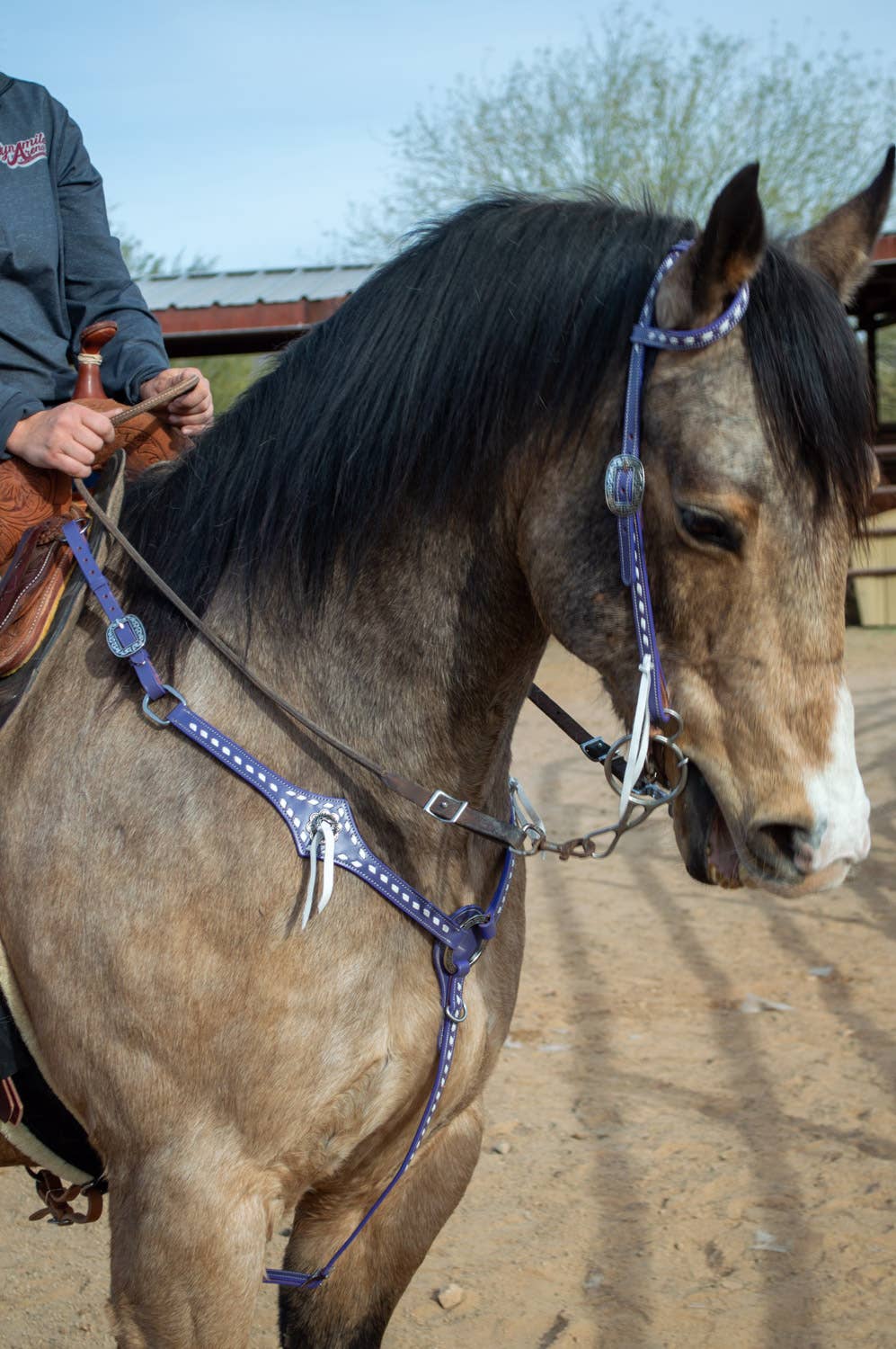 purple tack set
