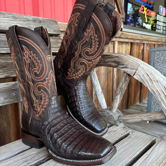 Chocolate Caiman Belly | Ariat Mens