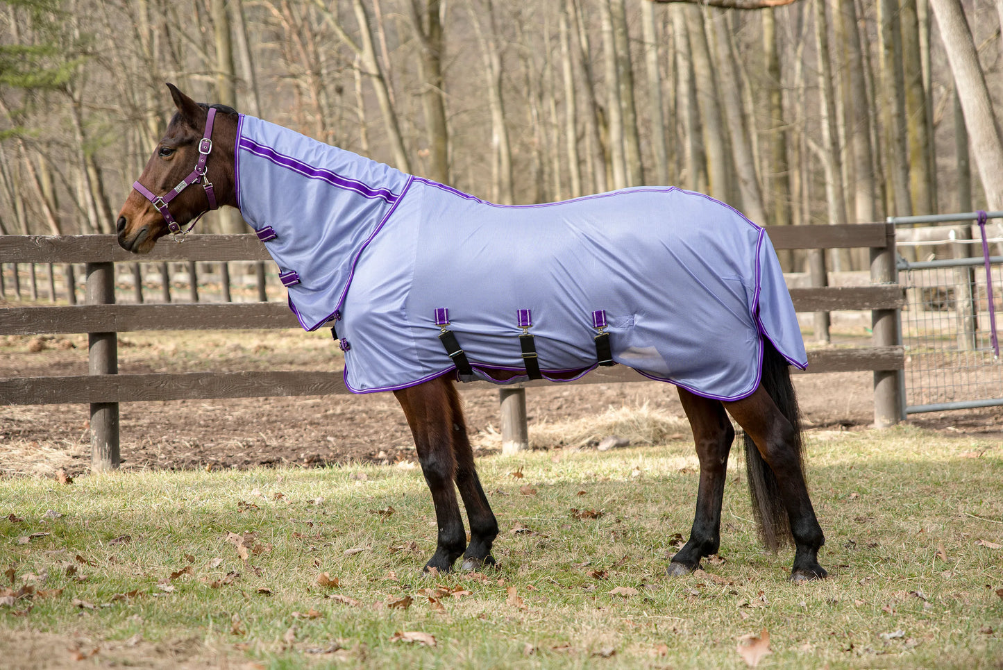 TuffRider Comfy Plus Combo Neck Fly Sheet - Purple with Deep Purple Trim