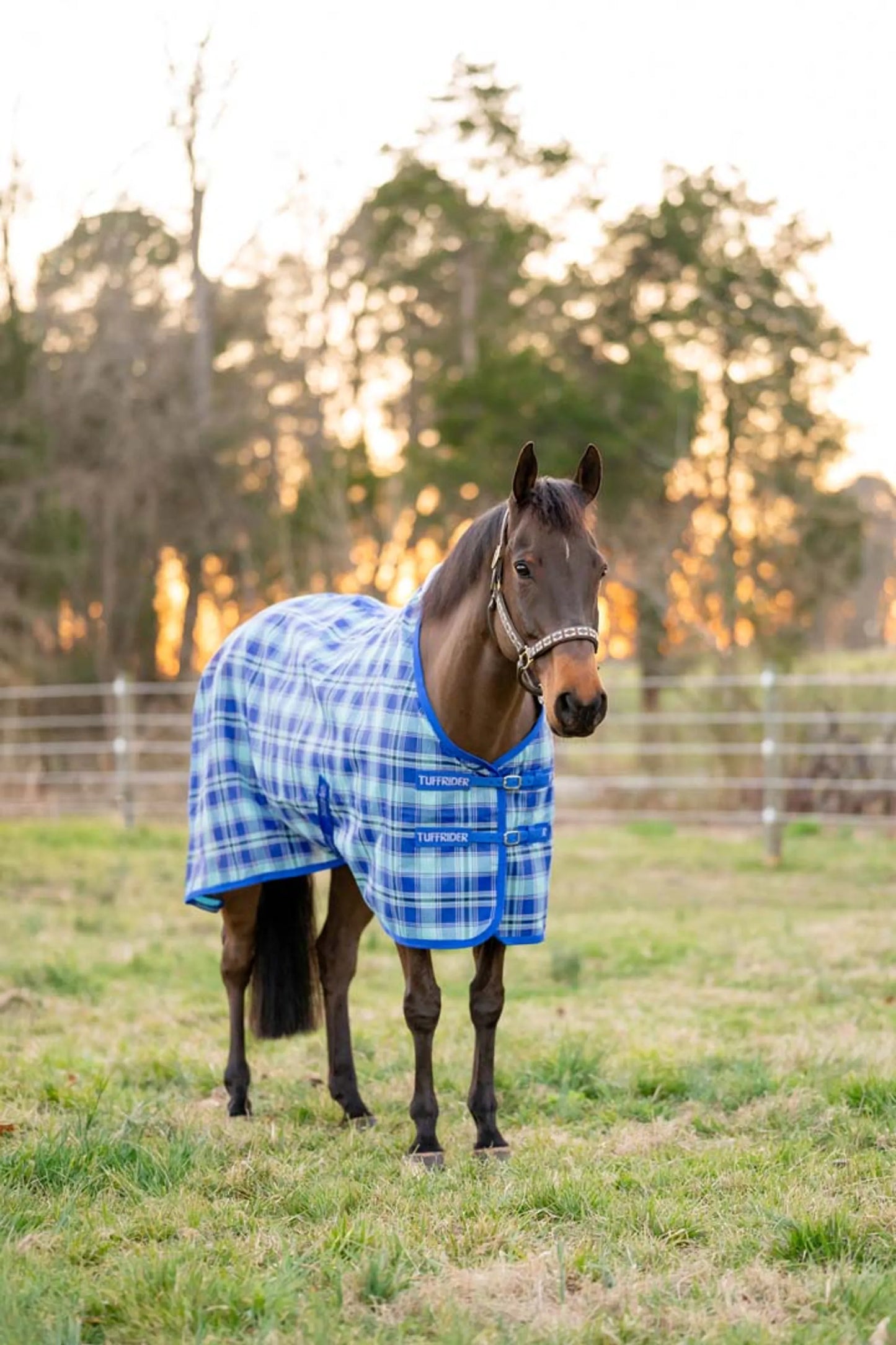 TuffRider Texilene Shoulder Lining FlyShield Sheet