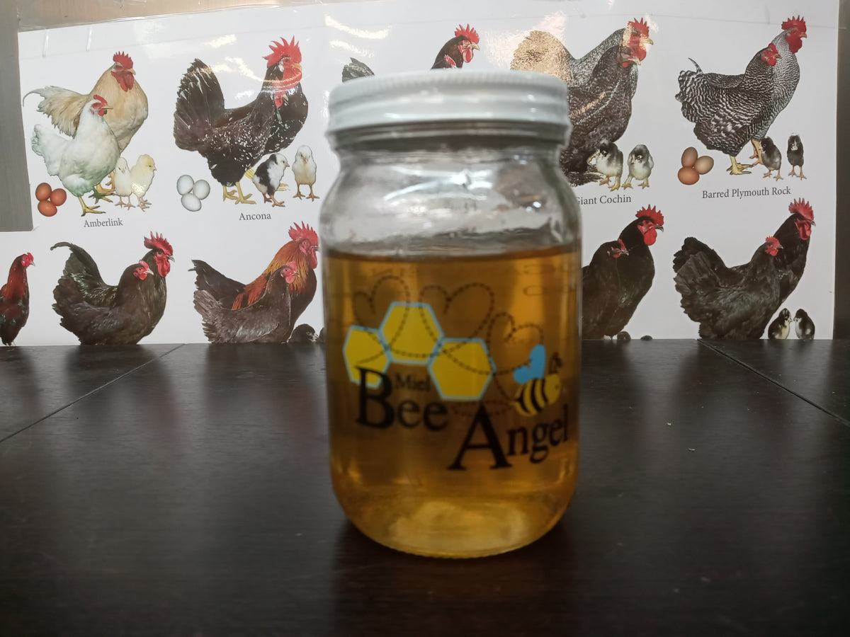 Bee Angel: All-Natural Honey - Miel Mediano 500gr
