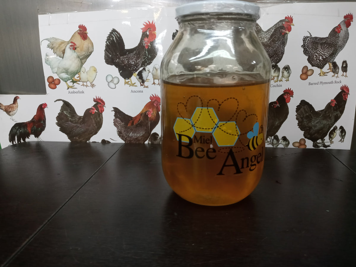 Bee Angel: All-Natural Honey - Miel Mediano 500gr