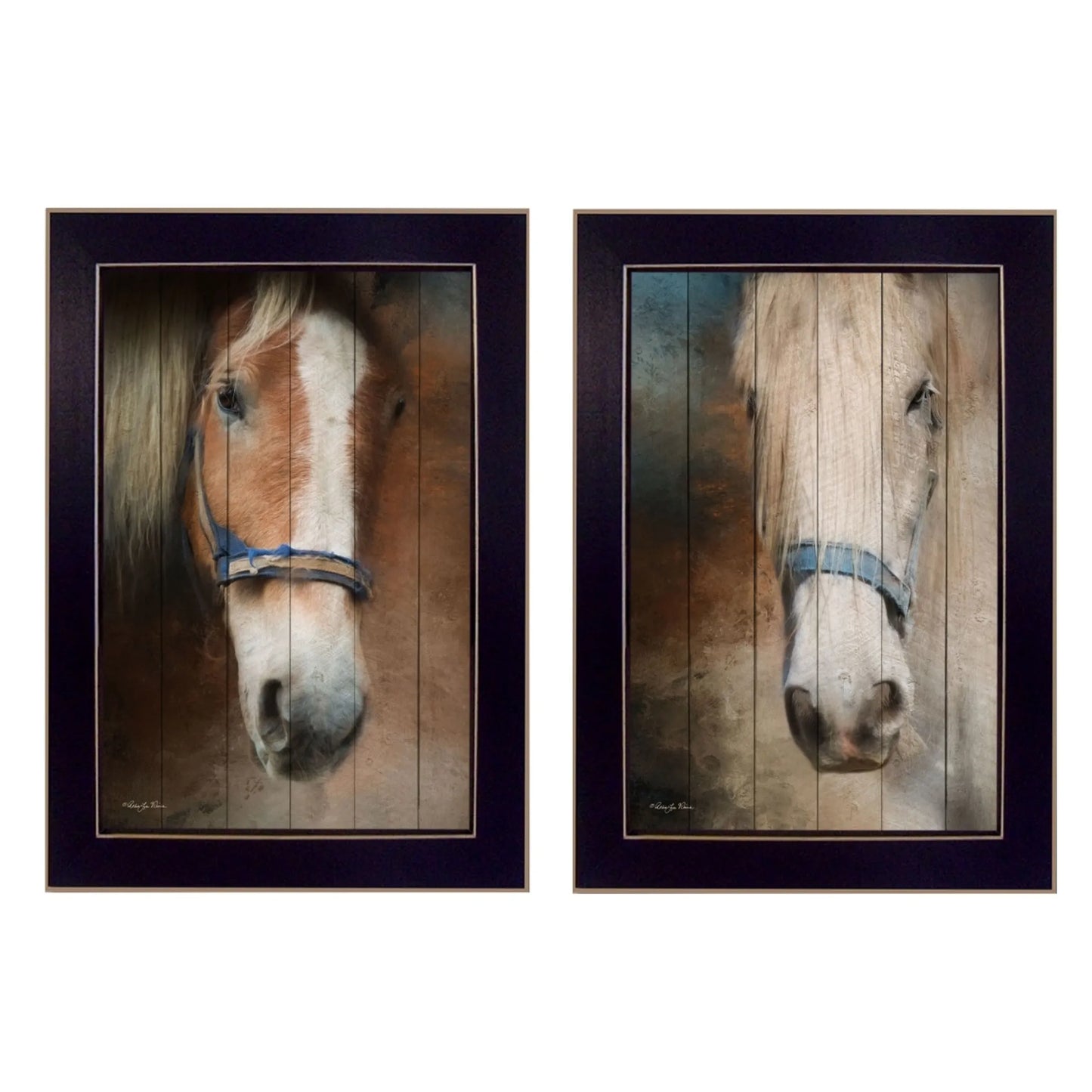 Set of Two Horses Black Framed Print Wall Art