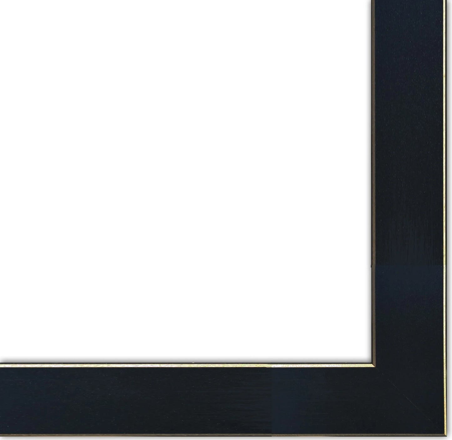 Set of Two Horses Black Framed Print Wall Art