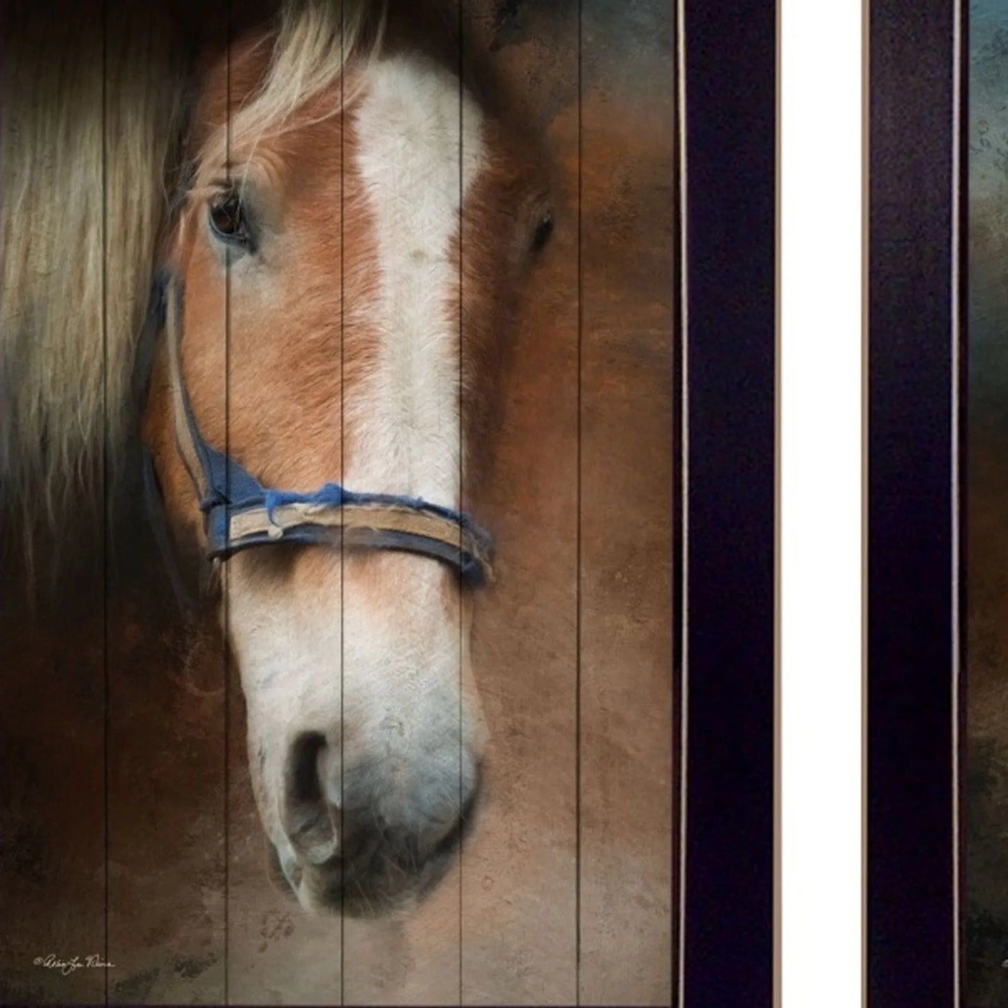 Set of Two Horses Black Framed Print Wall Art