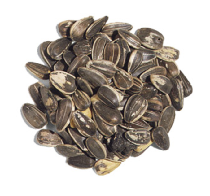 SUNFLOWER SEED GREY STRIPES - SEMILLA GIRASOL 50 LBS
