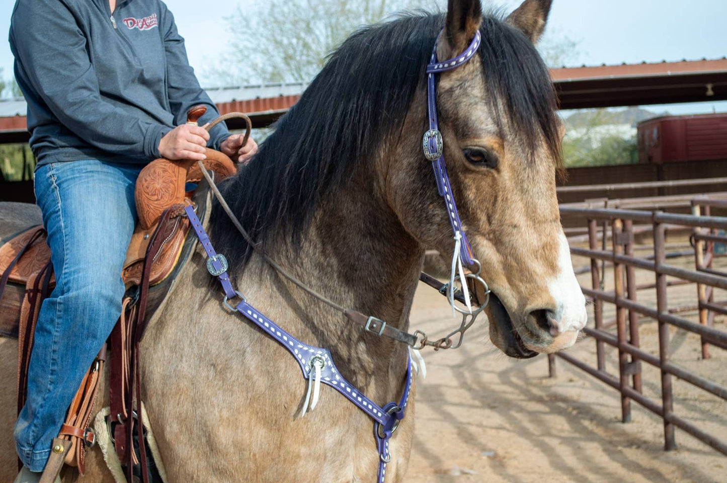 Buckstitchin' Beauty Purple Tack Set