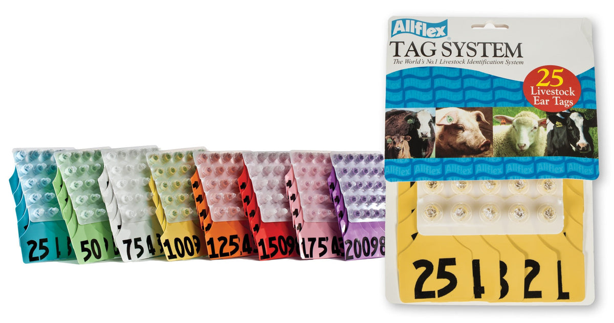 ALLFLEX: LARGE - FEM/SM - YELLOW - 51-75