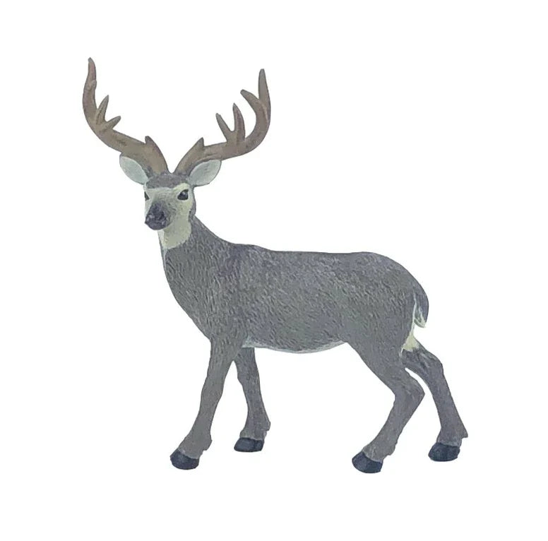 Mule Deer