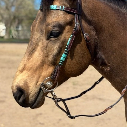Concha Ring Snaffle