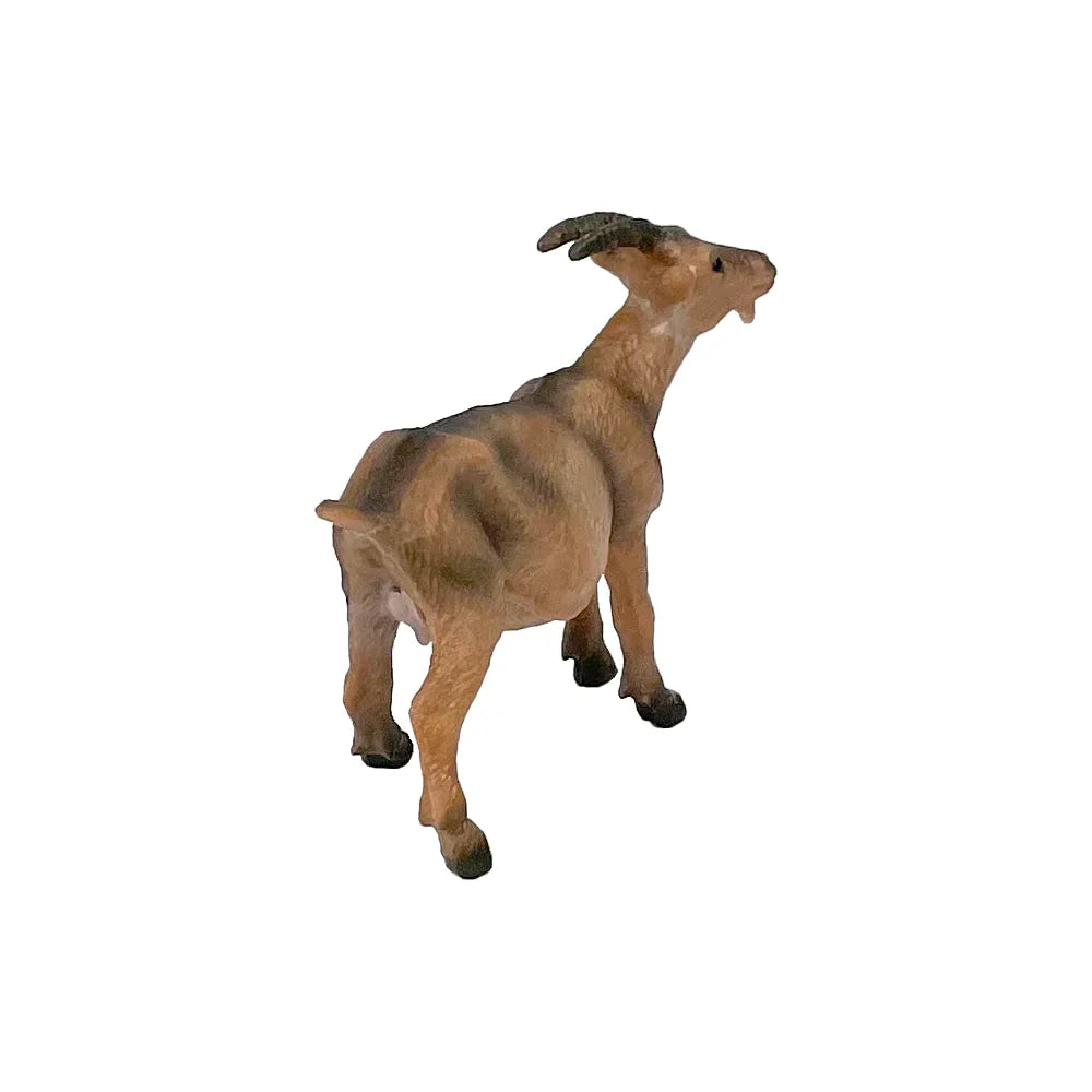Goat