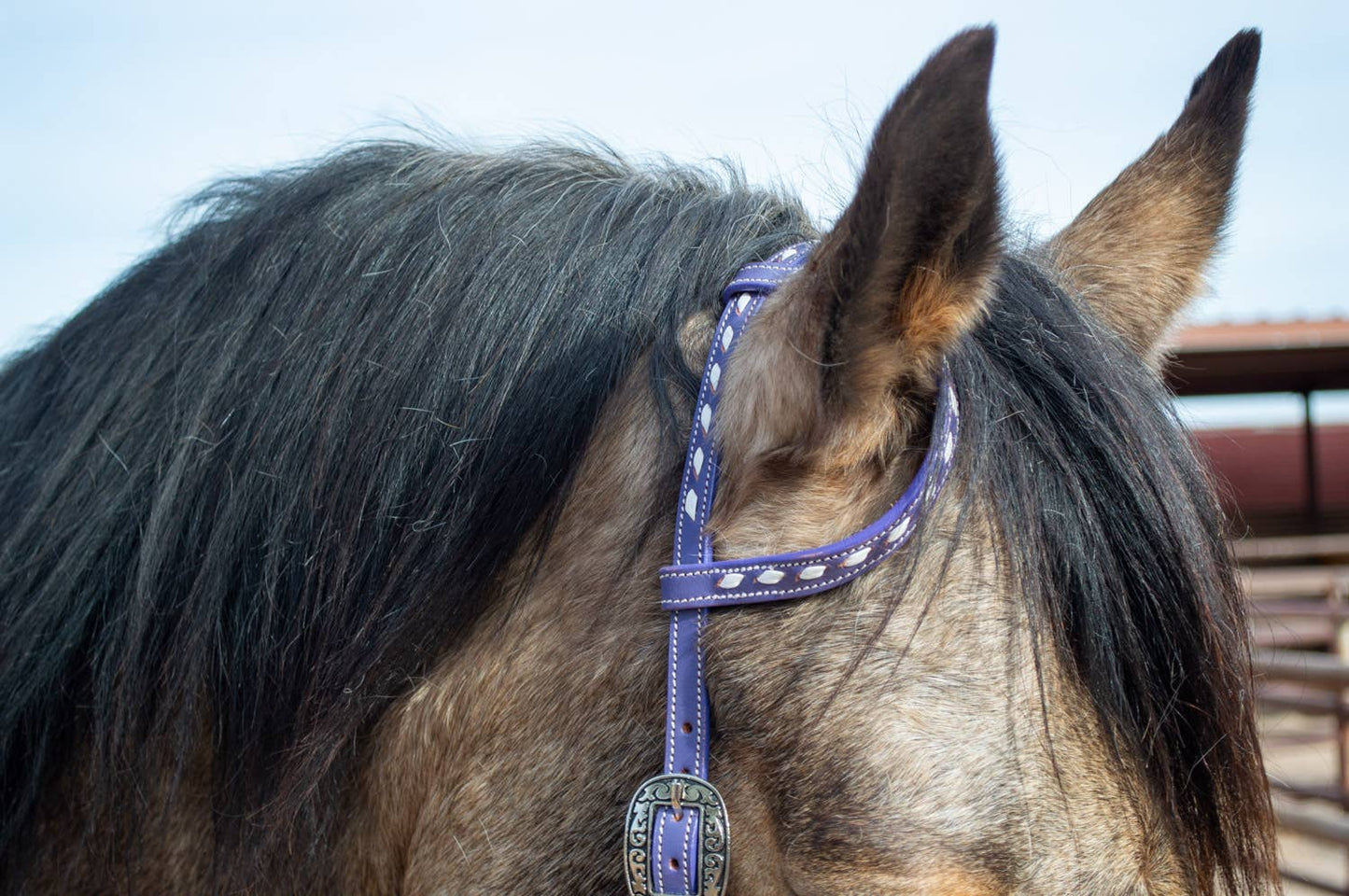 Buckstitchin' Beauty Purple Tack Set