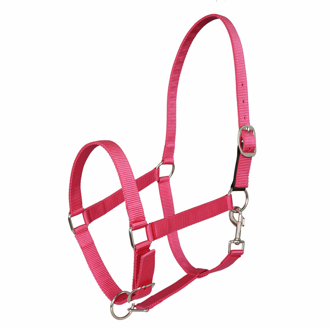 Miller's Adjustable Nylon Halter with Snap and Breakaway Leather