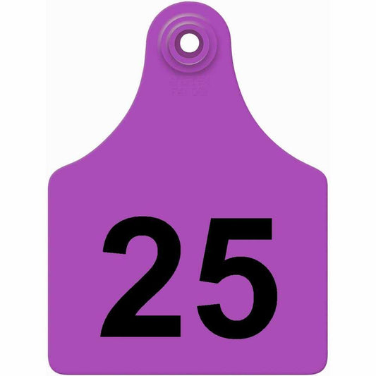 26-50 PURPLE Allflex: Maxi Fem/Sm Male