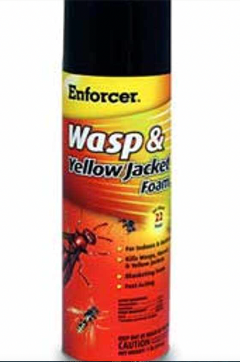 Enforcer: Wasp & Yellow Jacket Foam