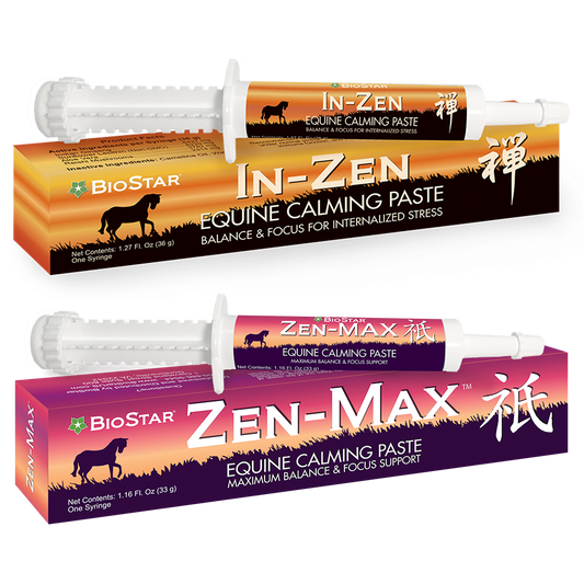 Zen Equine Syringes
