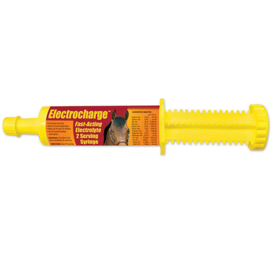 Finish Line Electrocharge Electrolyte Paste 60cc