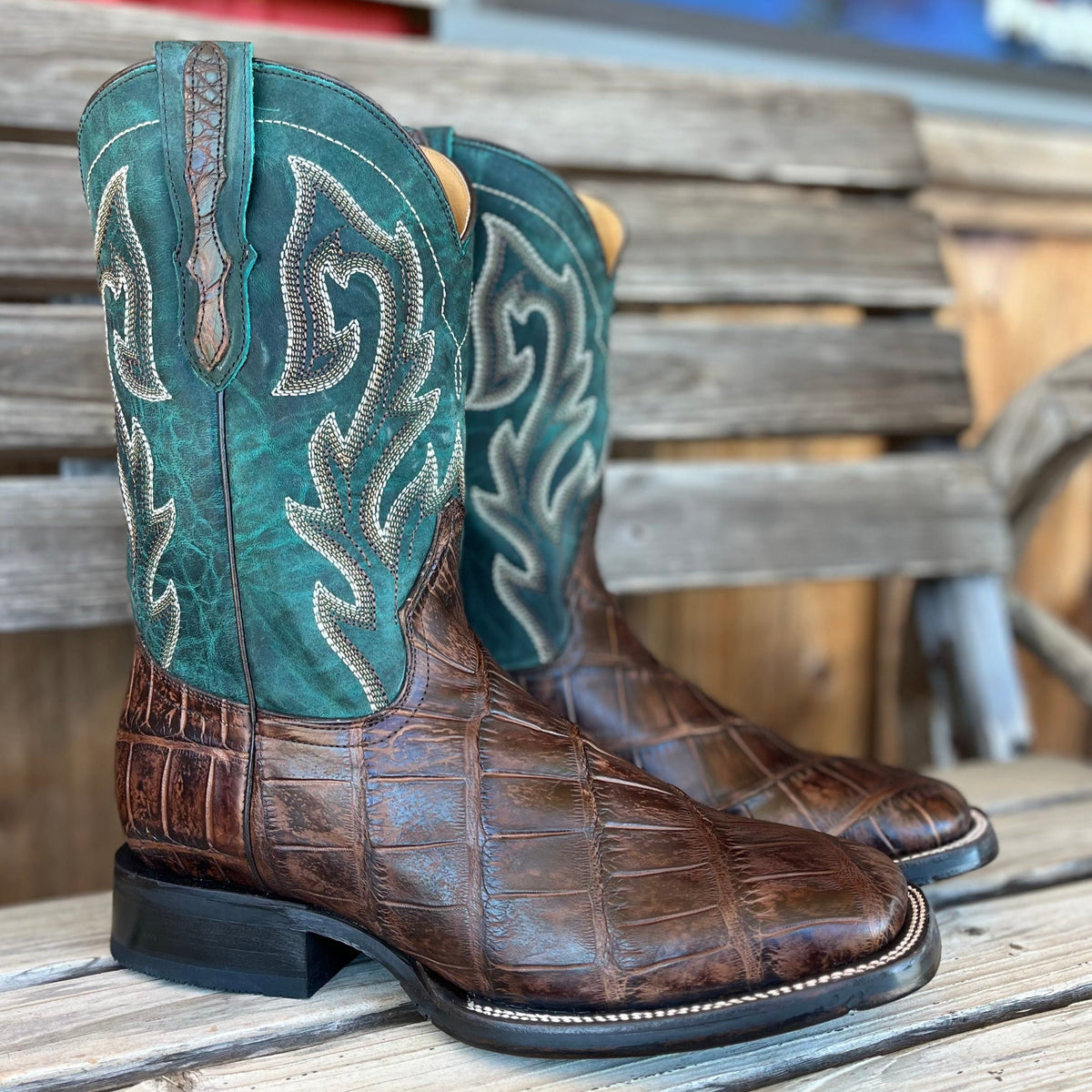 Brown Alligator | Stetson Mens