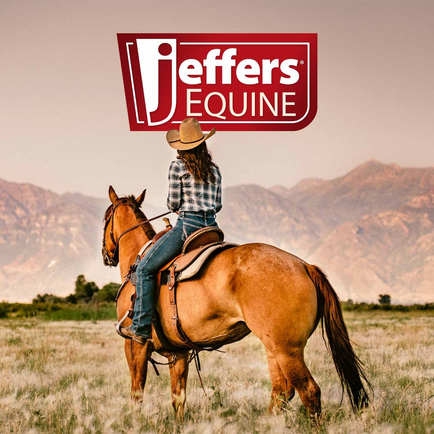 Jeffers WoolLuxe 100% Wool Saddle Pad