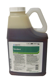 Sendero - 1 gal