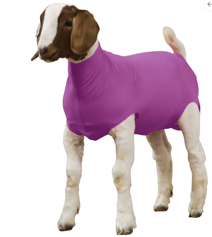 GOAT Spandex Tube - MEDIUM PURPLE