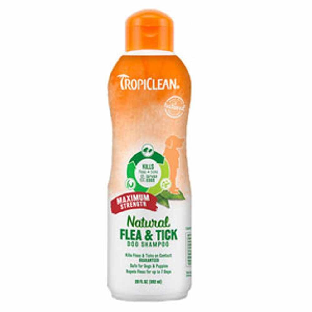 MAX STRENGTH F&T SHAMPOO 20OZ