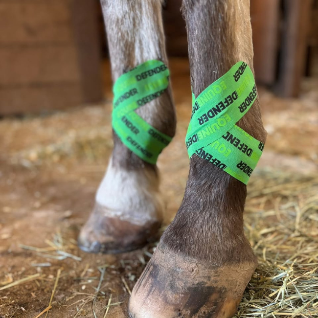 EQUINE | DEFENDER™ K Tape | Equine Kinesiology Tape