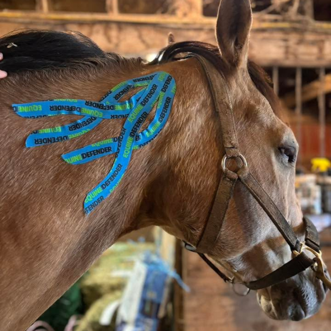 EQUINE | DEFENDER™ K Tape | Equine Kinesiology Tape