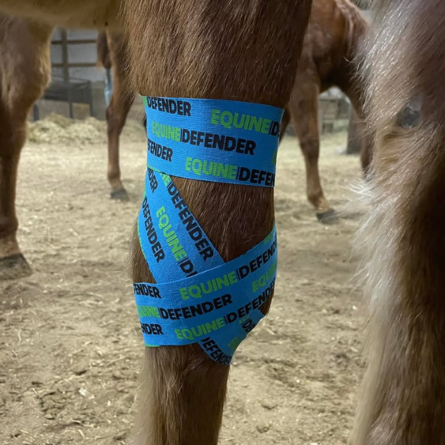 EQUINE | DEFENDER™ K Tape | Equine Kinesiology Tape