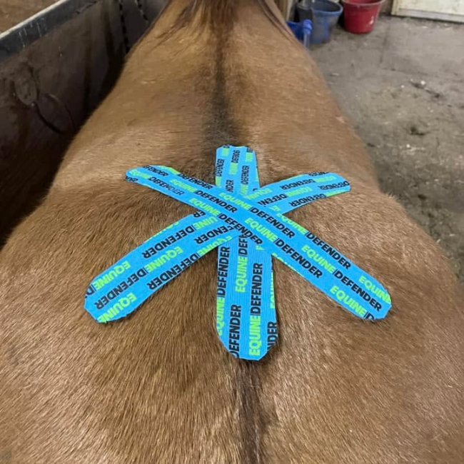 EQUINE | DEFENDER™ K Tape | Equine Kinesiology Tape