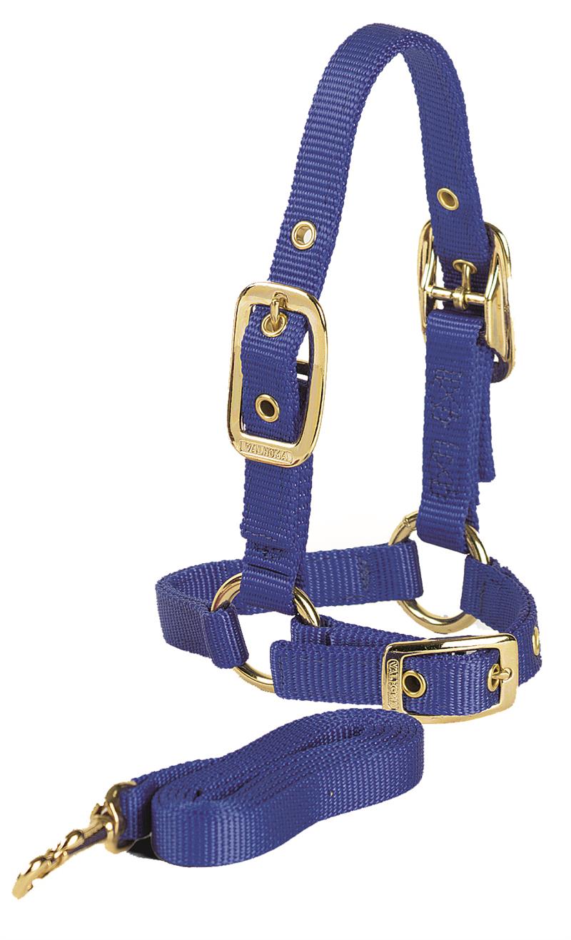 SHEEP HALTER W/LEAD LIME GREEN
