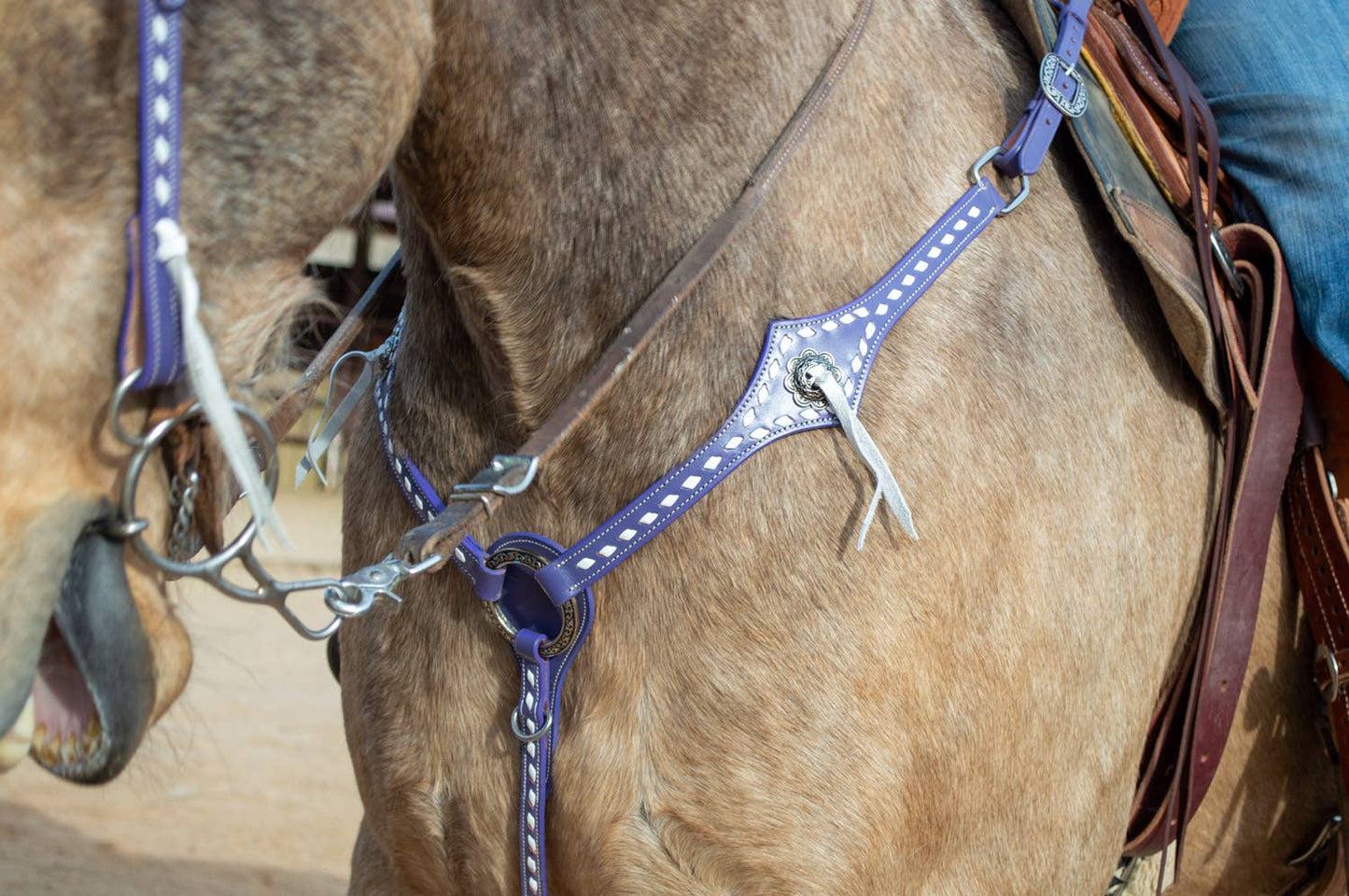 Buckstitchin' Beauty Purple Tack Set