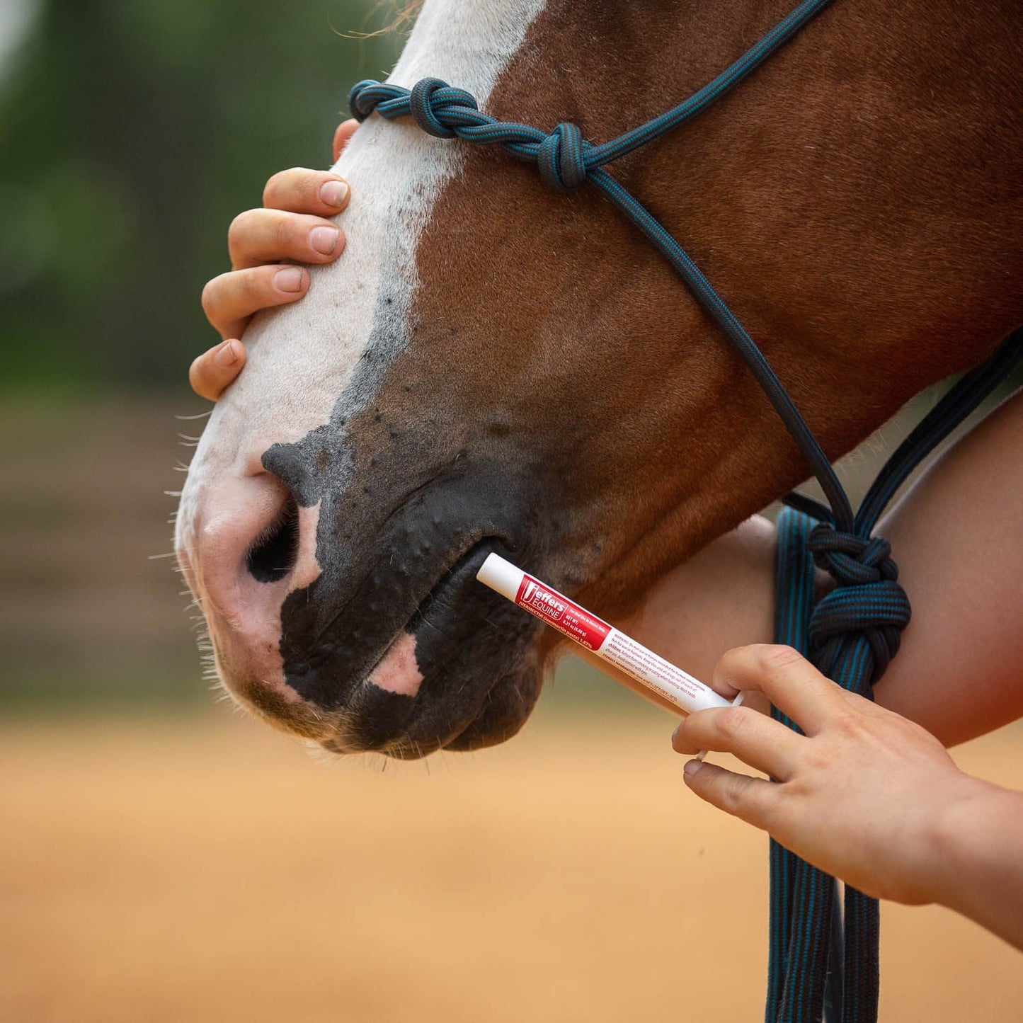 Jeffers Ivermectin Horse Dewormer Gel for Horses, Apple Flavored