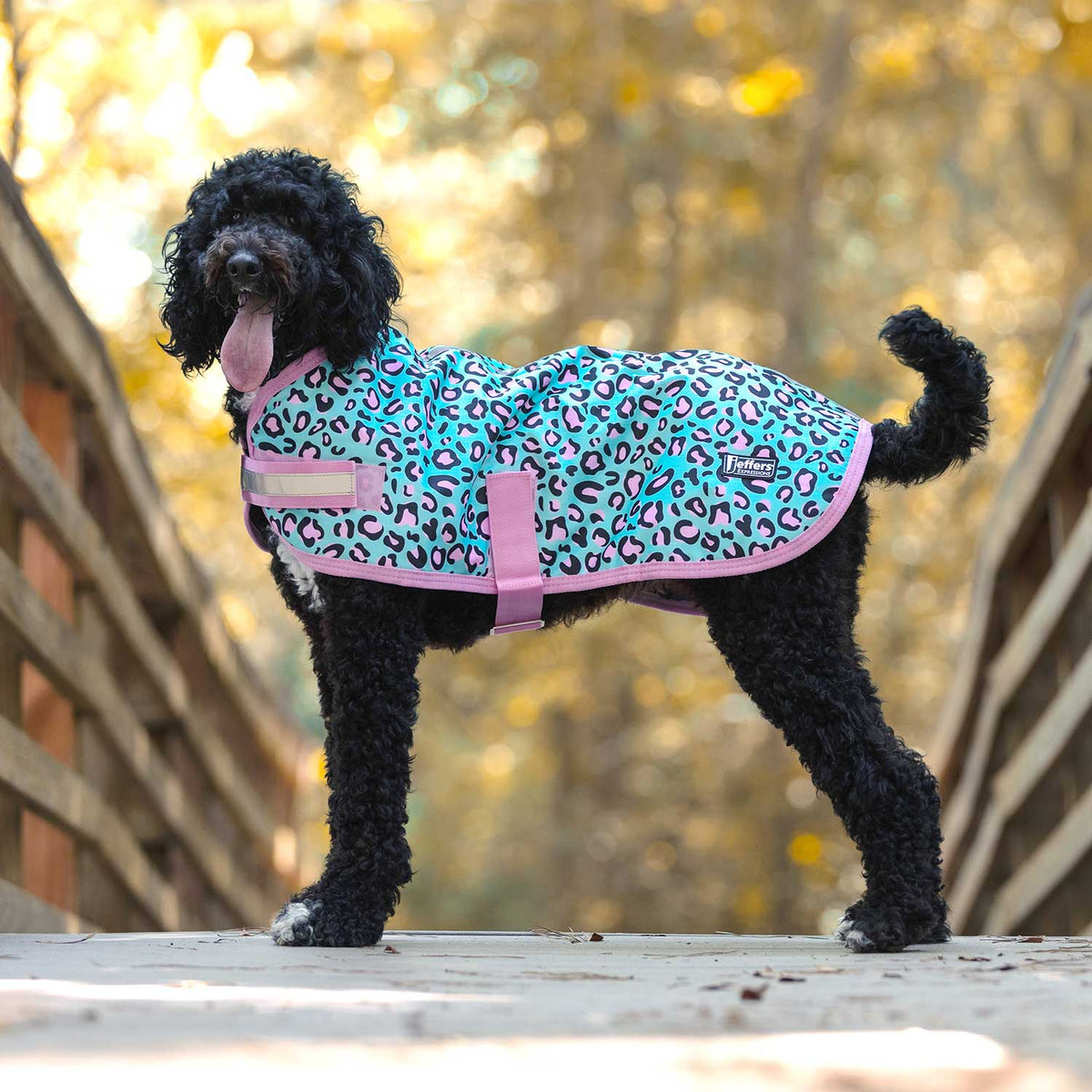 Jeffers Expression 600D Waterproof Ripstop Dog Coat, 240 Gram