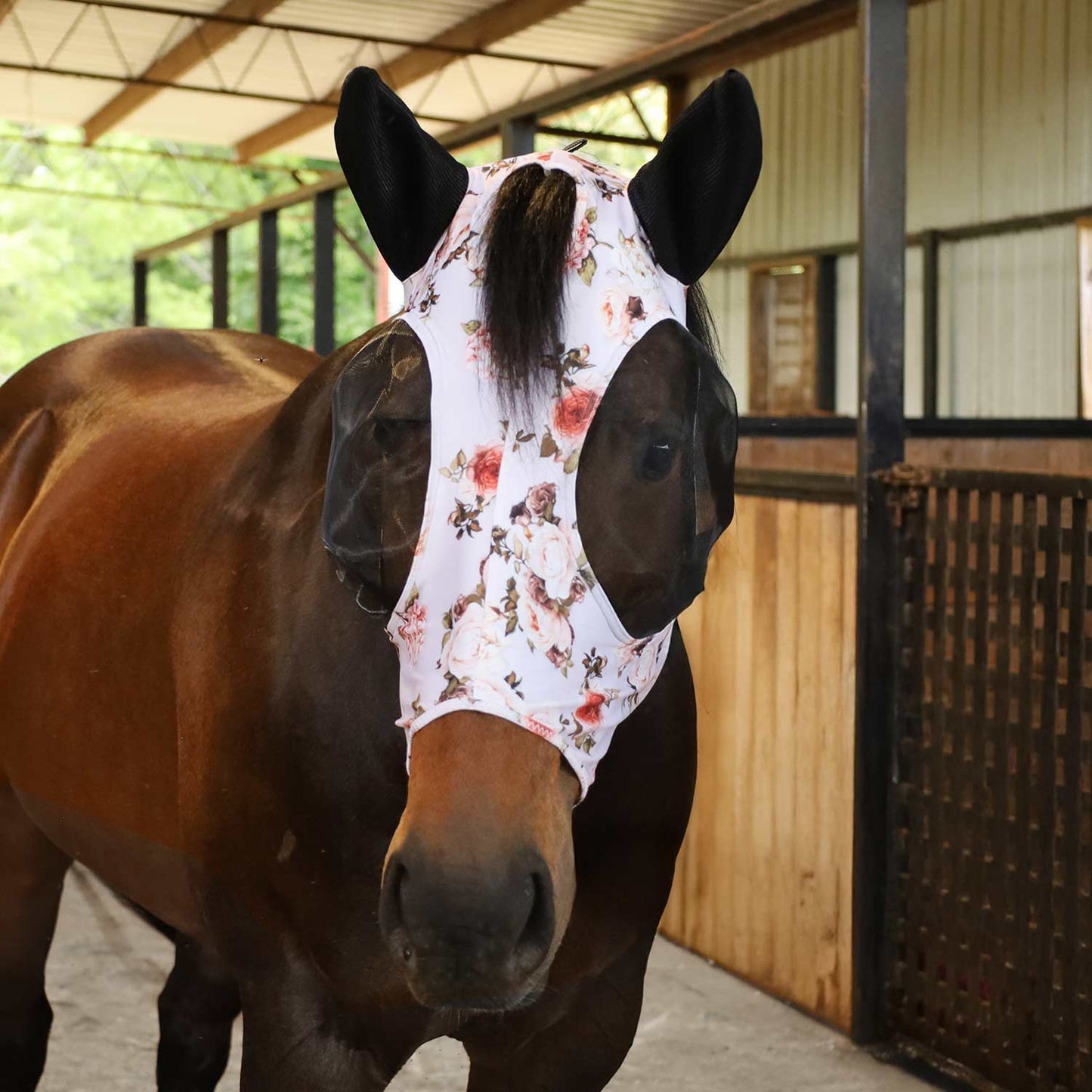 Pre-Sale Jeffers Expression Lycra Horse Fly Mask with Ears