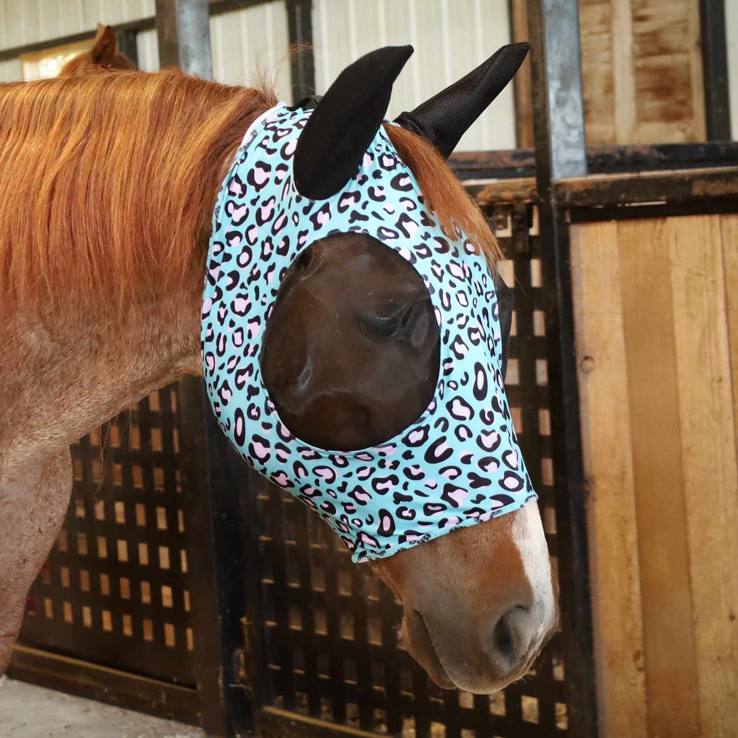 Pre-Sale Jeffers Expression Lycra Horse Fly Mask with Ears
