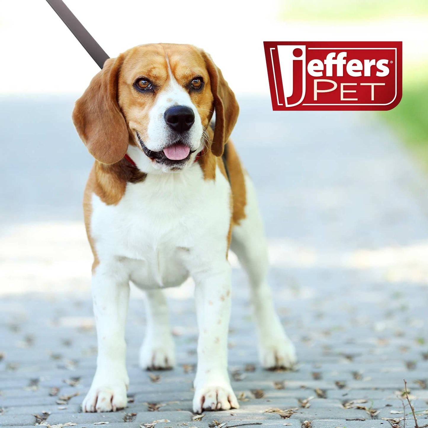Jeffers Flat Leather Dog Leash with Hand Strap, 6'