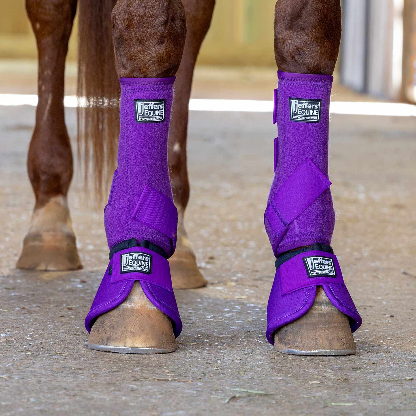 Jeffers No-Turn Bell Boots for Horses, Solid Colors, 2 ct