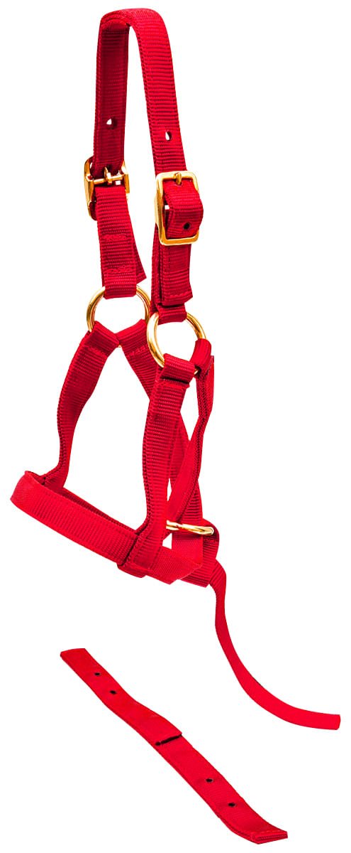 Jeffers Nylon Grow With Me Weanling Horse Halter