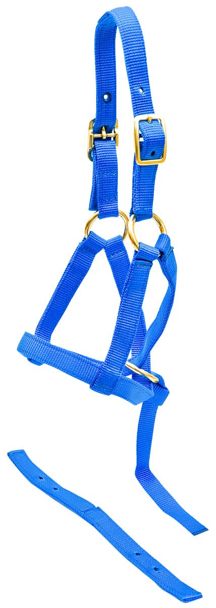 Jeffers Nylon Grow With Me Weanling Horse Halter