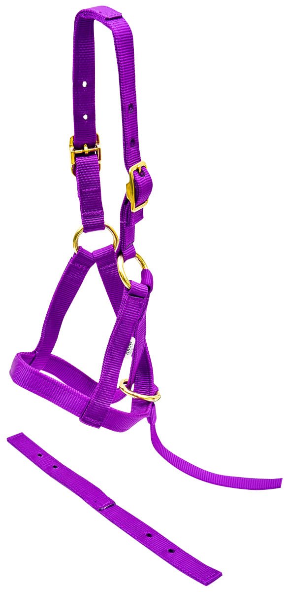 Jeffers Nylon Grow With Me Weanling Horse Halter