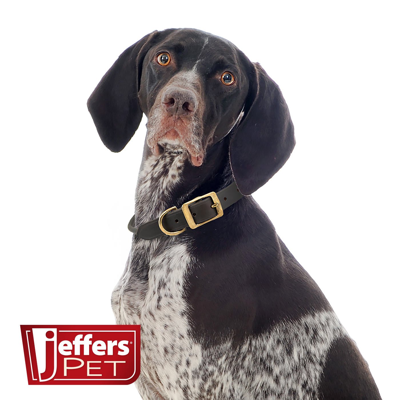 Jeffers Rolled Leather Dog Collar with Brass Hardware
