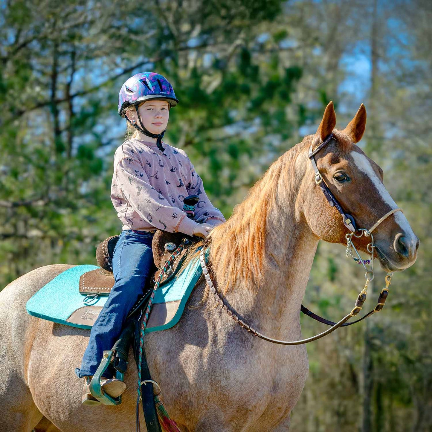 Jeffers WoolLuxe 100% Wool Saddle Pad