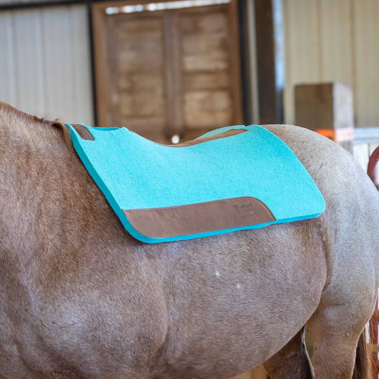 Jeffers WoolLuxe 100% Wool Saddle Pad